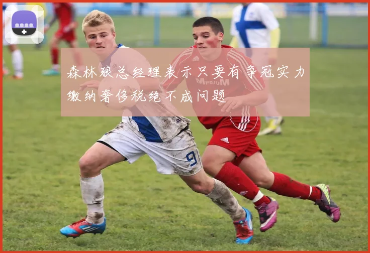 森林狼总经理表示只要有争冠实力缴纳奢侈税绝不成问题